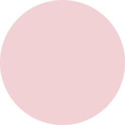Forex of Dibond blanco muurcirkel Lelie Roze