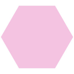 Blanco Hexagon Forex Dibond Lelie Roze