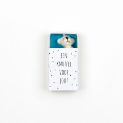 Beer in een doosje, knuffel voor jou