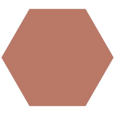 Hexagon Positive Blush