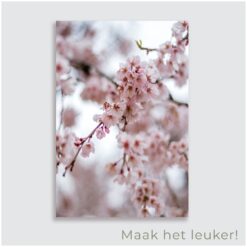 tuinposter aan de schutting - tuinposter met foto