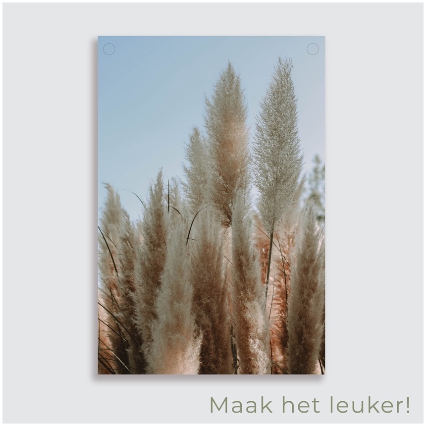 tuinposter pampas gras