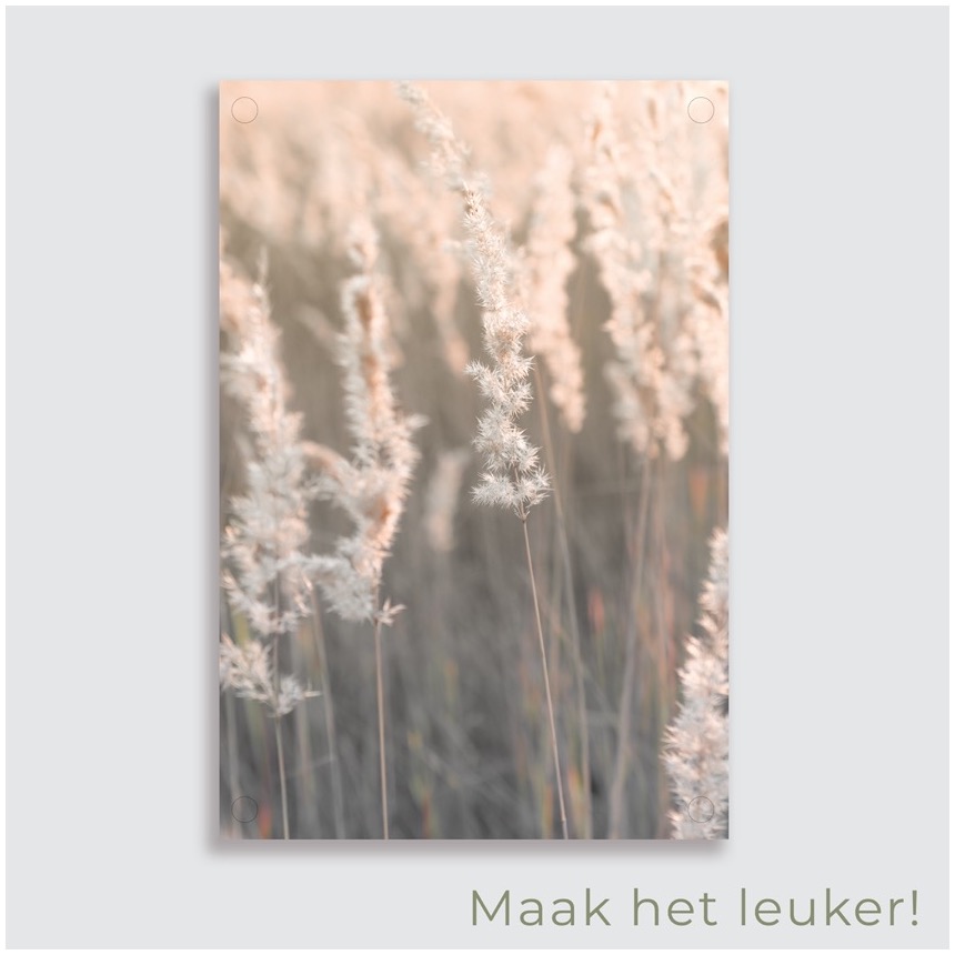 tuinposter pampas gras