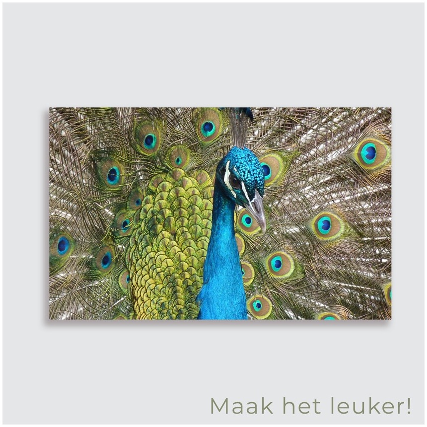 tuinposter aan de schutting - tuinposter met foto