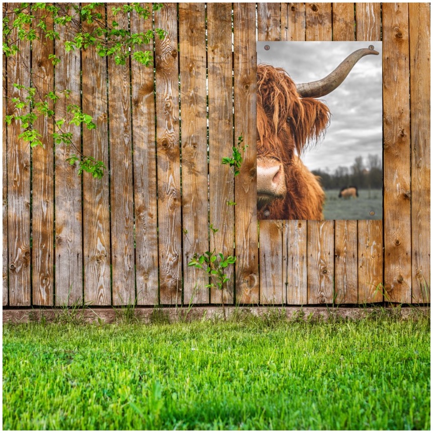 tuinposter aan de schutting - tuinposter met foto