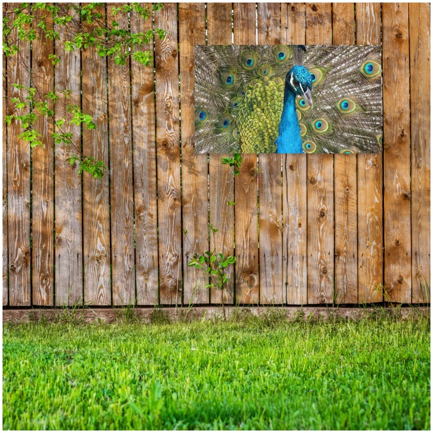 tuinposter aan de schutting - tuinposter met foto