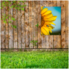 tuinposter aan de schutting - tuinposter met foto