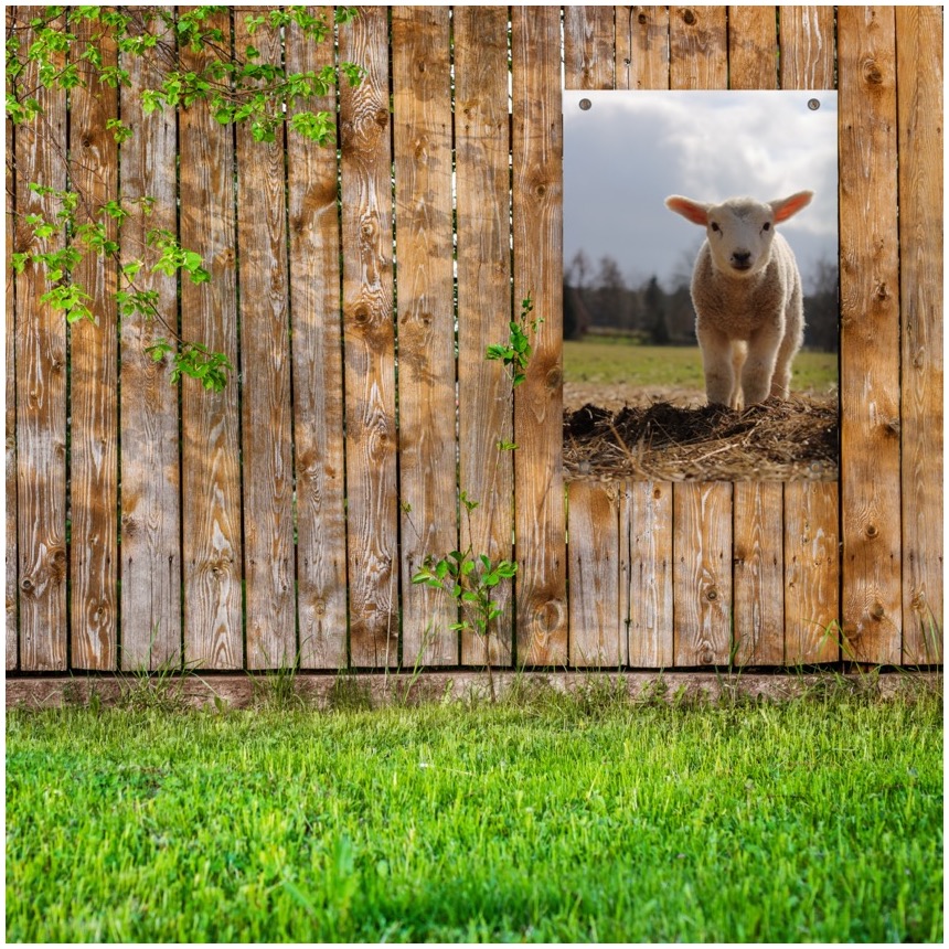 tuinposter aan de schutting - tuinposter met foto
