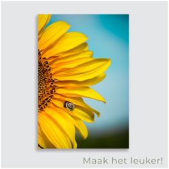 Zonnebloem tuinposter