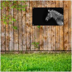 Zebra Tuinposter