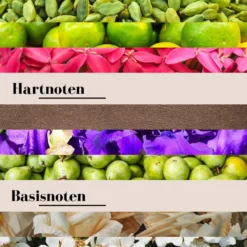 Geurnoten Flowers en Fruits wasparfum