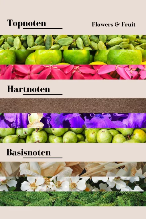 Geurnoten Flowers en Fruits wasparfum