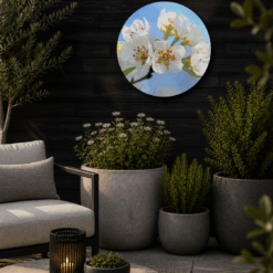 Moderne tuin met dibond muurcirkel