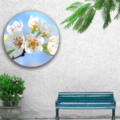 Muur met muurcirkel voor buiten met appelbloesem