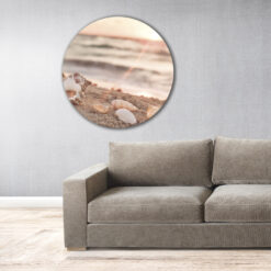 Muurcirkel met strand