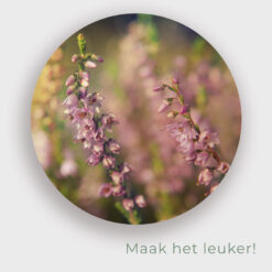 Muur met muurcirkel voor buiten met bloemen