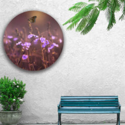 Muur met muurcirkel voor buiten met bloemen en vlinder