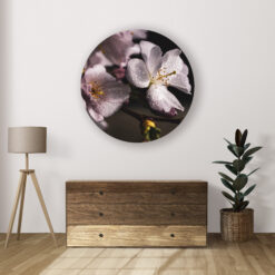 Muurcirkel Cherry Blossom