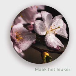 Muur met muurcirkel voor buiten met Kersenbloesem