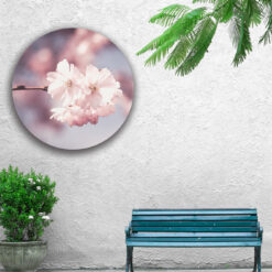 Muur met muurcirkel voor buiten met cherryblossom 2