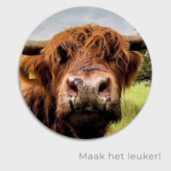 Muurcirkel Schotse hooglander neus