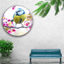 Muur met muurcirkel voor buiten met een koolmeesje