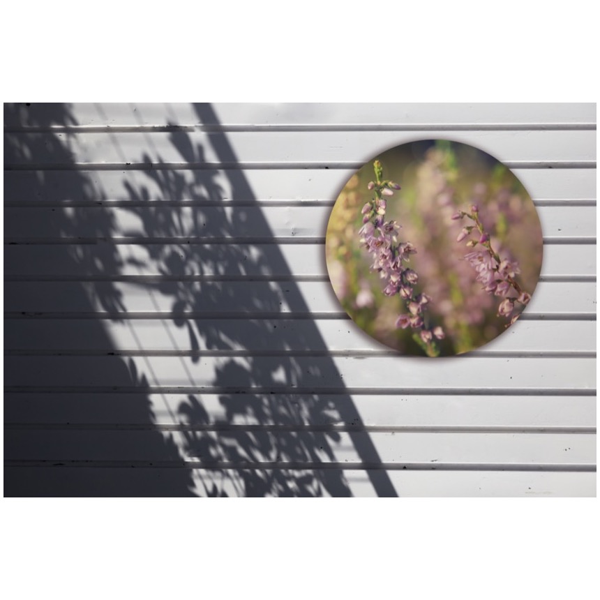 Muur met muurcirkel voor buiten met bloemen