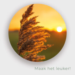 Muur met muurcirkel voor buiten Pluimen