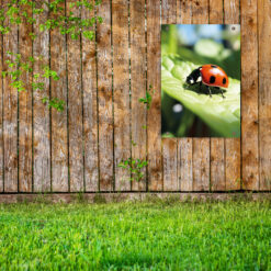 Maak het leuker in de tuin!