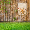 Tuinposter Zeester