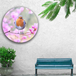 Muur met muurcirkel voor buiten met een vogeltje