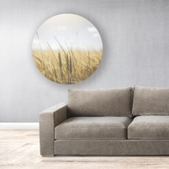 Muur met grote muurcirkel Wheat