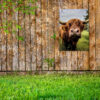 Tuinposter Neus