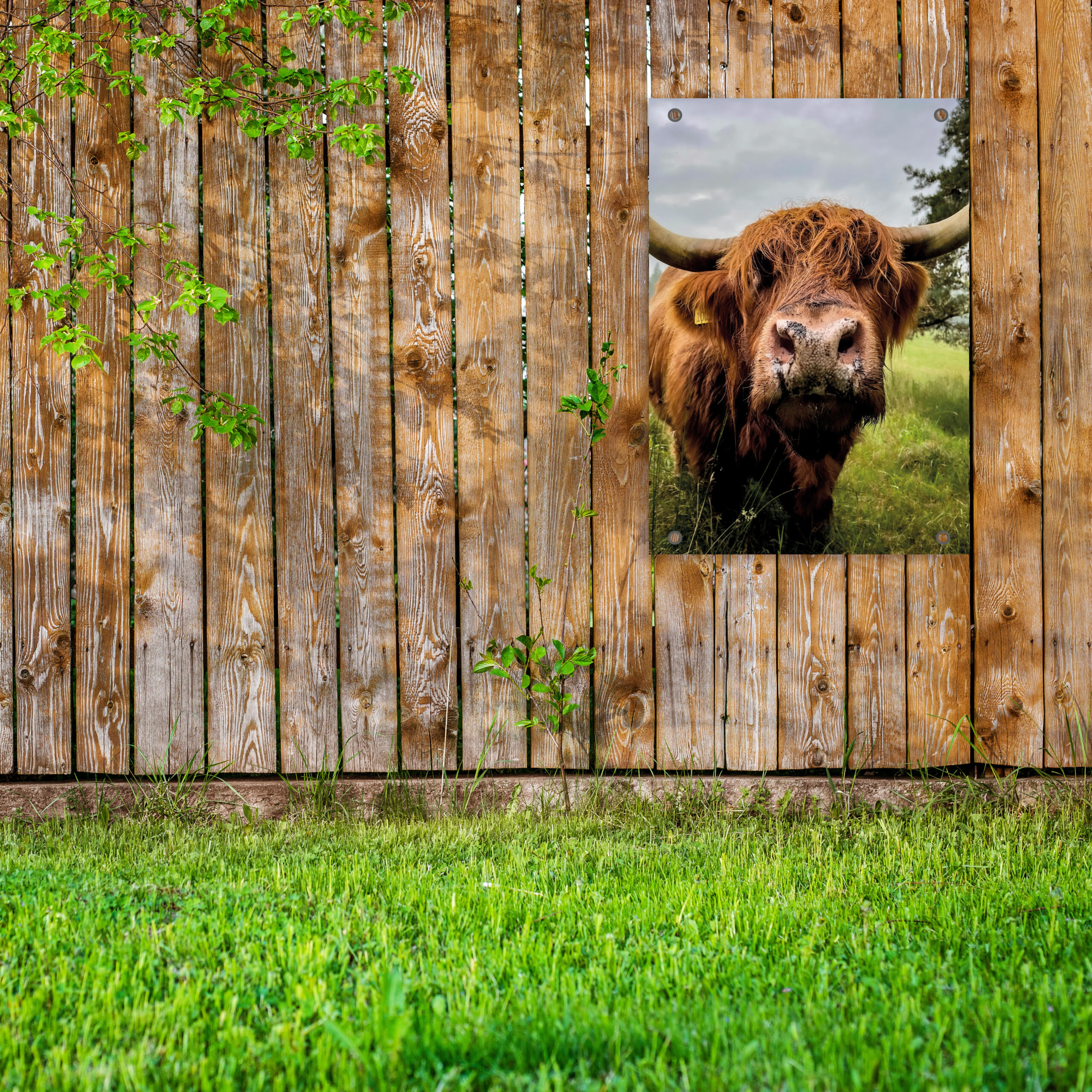 Tuinposter Neus