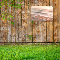 Tuinposter Strand Schelpen