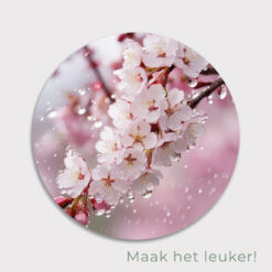 Sfeervolle ronde wanddecoratie met roze bloesem en lenteregen