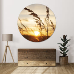 Wanddecoratie rond met gouden avondlicht en silhouetten van gras