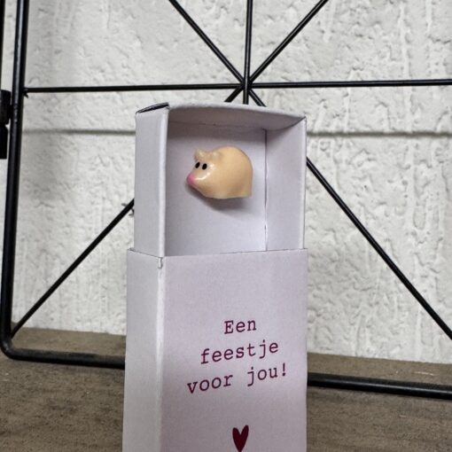 Een feestje voor jou - cadeautje in een klein doosje - brievenbuscadeautje