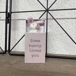 Konijntje in een doosje, brievenbus cadeautje