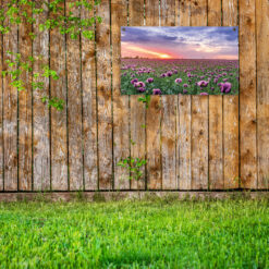 Tuinposter tulpenveld, poster voor in de tuin met tulpenveld