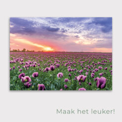 Tuinposter tulpenveld, poster voor in de tuin met tulpenveld